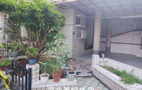 新市區 - 新市南科大地坪雙車墅 - 1980萬