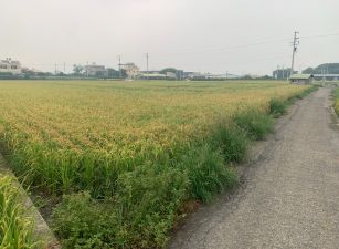 北斗大新路4.7分水電美田