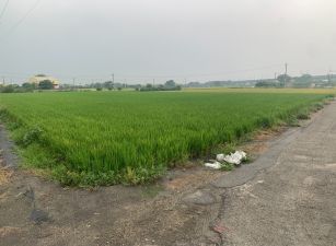 北斗大新路3.1分美田
