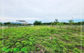 玉井望明路邊一般農地台南培倫房屋土地王H。蝸牛居0931384262