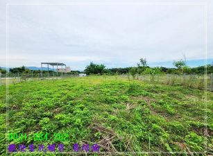 玉井望明路邊一般農地台南培倫房屋土地王H。蝸牛居0931384262