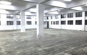 林口工二工業區RC+SC廠房