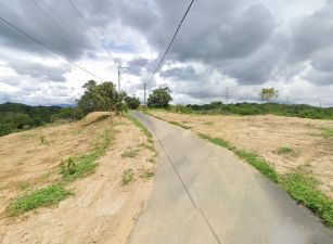 新化礁坑子1.9甲大農地