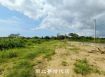 大內區 - 大內區農地兼休閒樂活 - 668萬