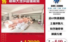 【大勝哥桃園買房】🔥樹林大地坪超值廠房