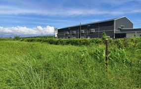 溪埔路上雙面臨路方正4.3分農地