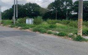 西螺低總價水電雙齊田2