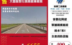 大園客製化挑高倉庫廠房124