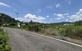 日月潭近向山中心建地