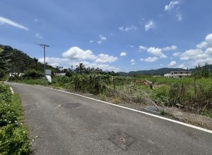 日月潭近向山中心建地