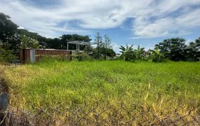 鳥松神農路捷運黃線Y2站方正美農地