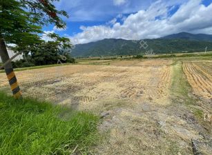 富里台九線旁稻香農地　B279