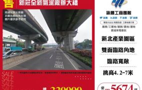 新莊全新氣派廠辦大樓184