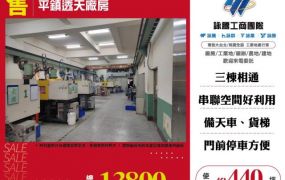 平鎮透天貨梯廠房124
