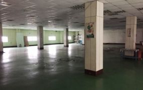 龜山獨立RC廠房