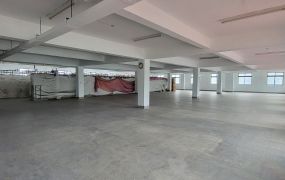 龜山大電力廠辦•	桃園廠房買賣/工業地/建地/徵收農地/廠房出租