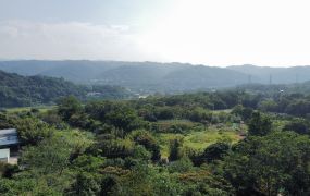 專任-關西營區旁朝南農地+建地