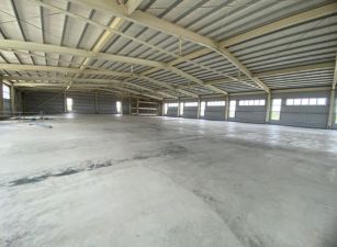 龍潭挑高8米/碼頭/鋼構廠房
