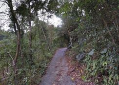 南投竹山2.5甲便宜山坡地(專