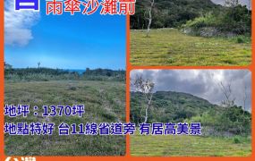 海263_碧海藍天台東石雨傘沙灘前