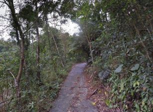 南投竹山2.5甲便宜山坡地(專