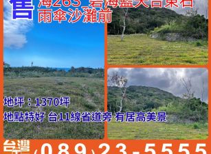 海263_碧海藍天台東石雨傘沙灘前