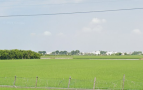 埤頭低價位田地