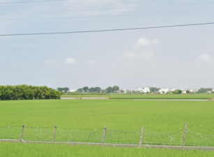 埤頭低價位田地