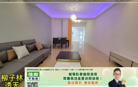 ❣️柳子林透天❣️一定OK啦！