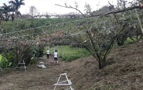 卓蘭近景山國小投資景觀地