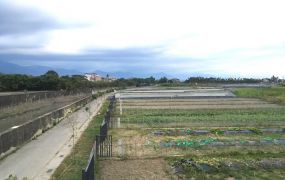 美濃漂漂河🛶110坪都內農地
