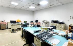 大園20米路旁工業廠店