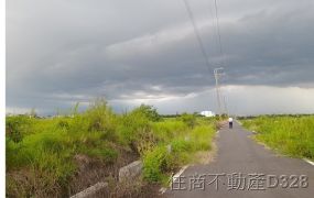 麻豆埤頭2.5分臨路農地