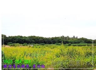 佳里興超值農地B台南培倫房屋土地王H。蝸牛居0931384262