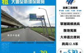大園全新環保廠房149