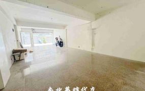 永康區 -  近探索公園孝親大車墅  - 1580萬