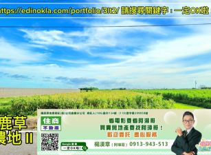 ❣️鹿草農地 II❣️一定OK啦！