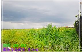埤頭2分半超值農地台南培倫房屋土地王H。蝸牛居0931384262