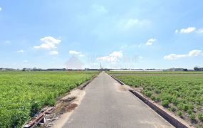 嘉義新港『沃野千里農牧用地』