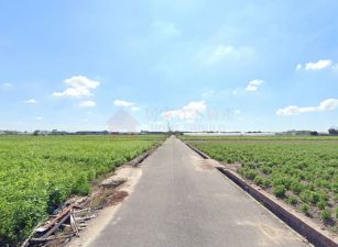 嘉義新港『沃野千里農牧用地』