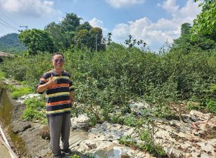 賀成交 鹿谷正15米仁愛路清秀段稀有角地
