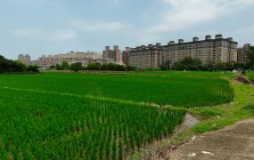 楊梅埔心工+農/專營大台北大桃園工業地廠房租賃買賣