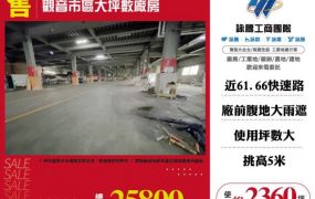 觀音市區大坪數廠房
