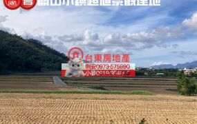 台東房地產 / 關山小鎮超值景觀建地
