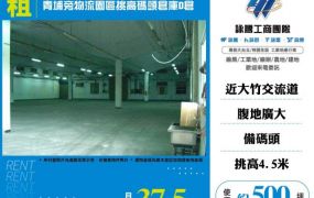 青埔旁物流園區挑高碼頭倉庫D倉142