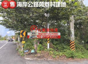 台東房地產 / 海岸公路旁鄉村建地