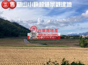 台東房地產 / 關山小鎮超值景觀建地