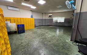 新屋66旁大面寬廠房