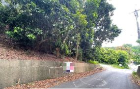 燕巢近阿公店水庫大面寬農地
