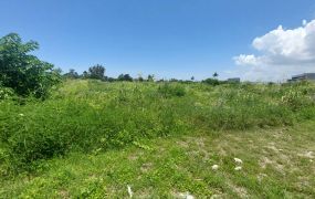 岡山3811坪稀有甲工用地